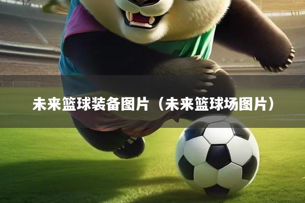 未来篮球装备图片(未来篮球场图片)