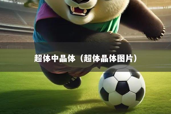 超体中晶体（超体晶体图片）