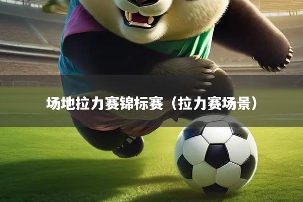 场地拉力赛锦标赛(拉力赛场景)