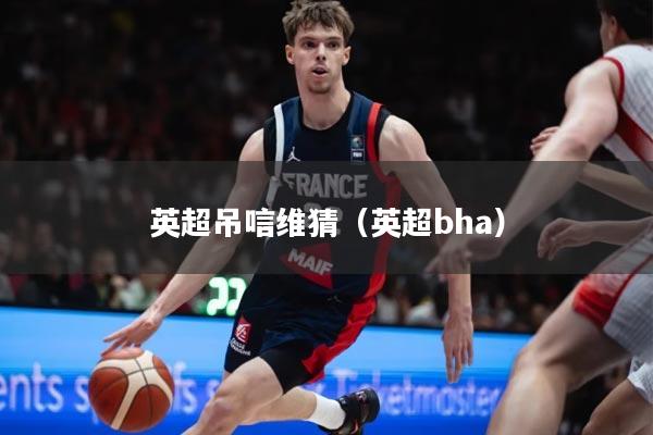 英超吊唁维猜（英超bha）