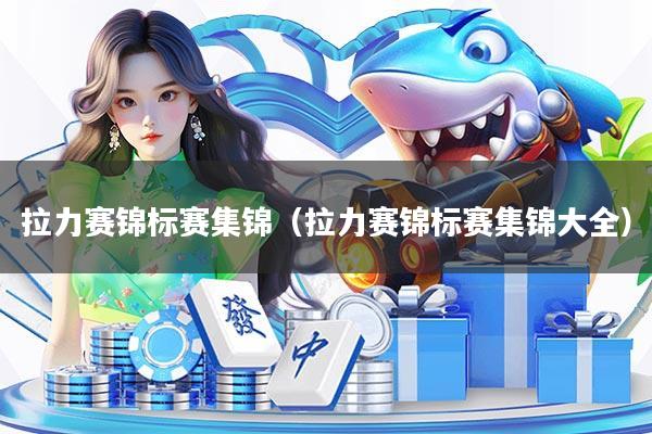 拉力赛锦标赛集锦（拉力赛锦标赛集锦大全）