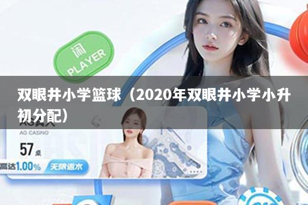 双眼井小学篮球（2020年双眼井小学小升初分配）