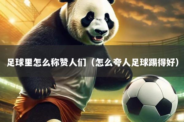 足球里怎么称赞人们(怎么夸人足球踢得好)