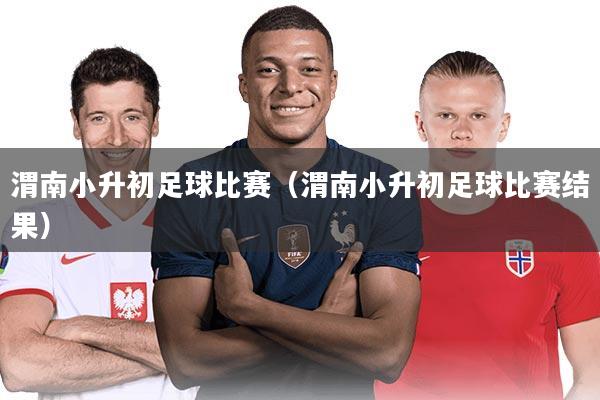 渭南小升初足球比赛（渭南小升初足球比赛结果）