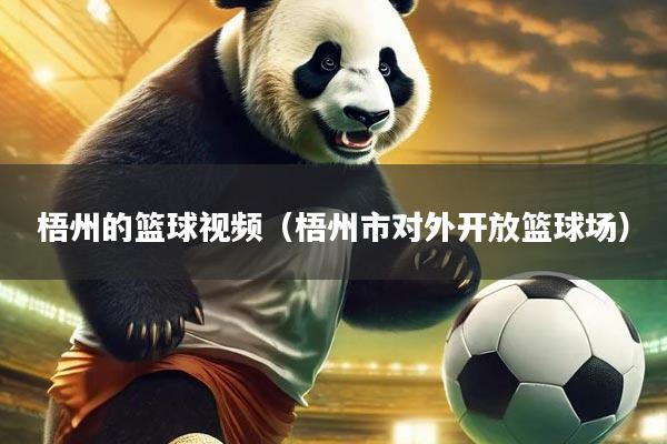 梧州的篮球视频（梧州市对外开放篮球场）