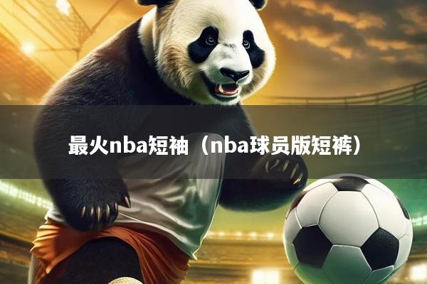 最火nba短袖(nba球员版短裤)